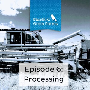 Episode 6-  Processing