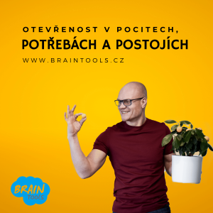 Otevřenost v pocitech, potřebách a postojích