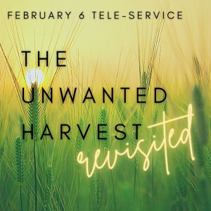 The Unwanted Harvest Revisited