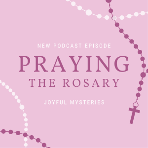 Rosary Series: Joyful Mysteries VI