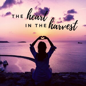 The Heart in the Harvest: Harvesting Blessings #1