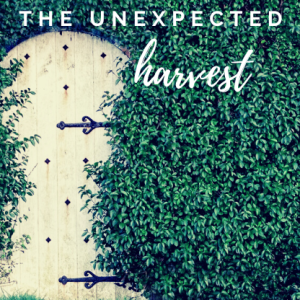 The Unexpected Harvest: Harvesting Blessings #2