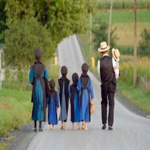 Why are the Amish so healthy?