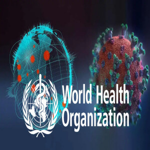 The WHO Global Pandemic Treaty - the politicians’ shield.
