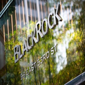 Understanding Blackrock activism