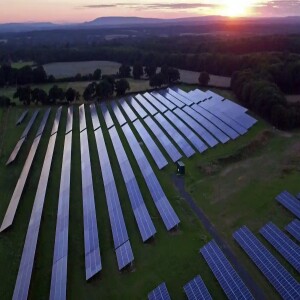 Solar Farms and Green Zealotry!