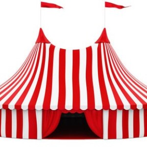 The Covid Inquiry Circus comes to town!