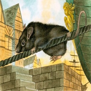 Rat leaves sinking ship!
