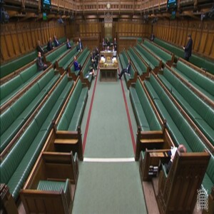 Excess Deaths - in the Commons