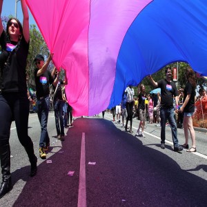 To bi or not to bi....