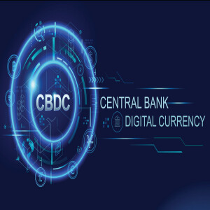 Digital Currency Prison