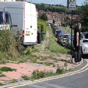Brighton Rewilded!