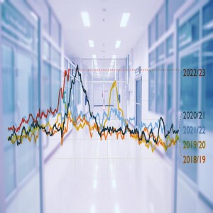 What is DRIVING Excess deaths?