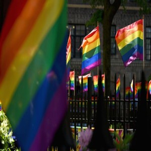 Flags have meaning - Pride comes before the fall!