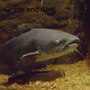Catfish as Medicine