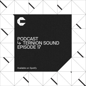 #17 - Ternion Sound