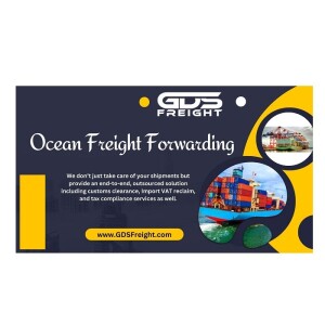 Streamline Your Shipping Costs with GDS Freight Audit: Unveiling the Power of Ocean Freight Auditing!