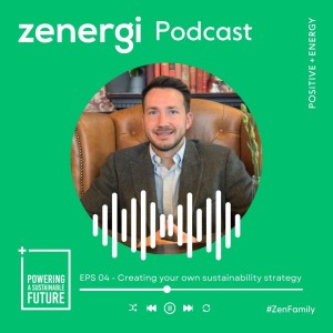 Zenergi - Climate Crisis - Creating your own Sustainability strategy and what your net zero journey might look like