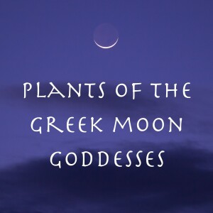 Plants of the Greek Moon Goddesses