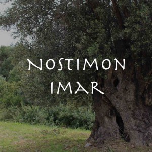 Nostimon Imar: The Taste of Coming Home