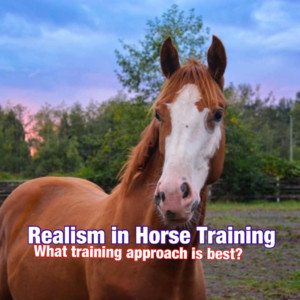 Realism in Horse Training Views