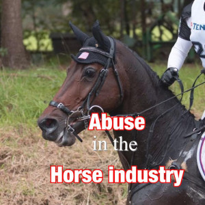 The Horse Industry: Abuse, Neglect and Pointing Fingers