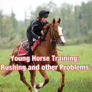 Problems in Training Young Horses: Imprint Training, Young Horse Classes and Other Forms of Rushing