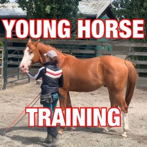 The Rushing of Young Horses