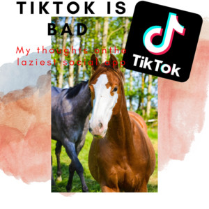 My Thoughts on Tiktok