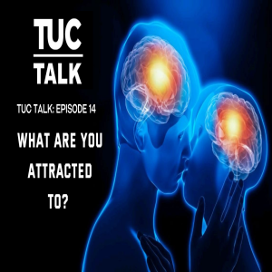 What are You Attracted To?