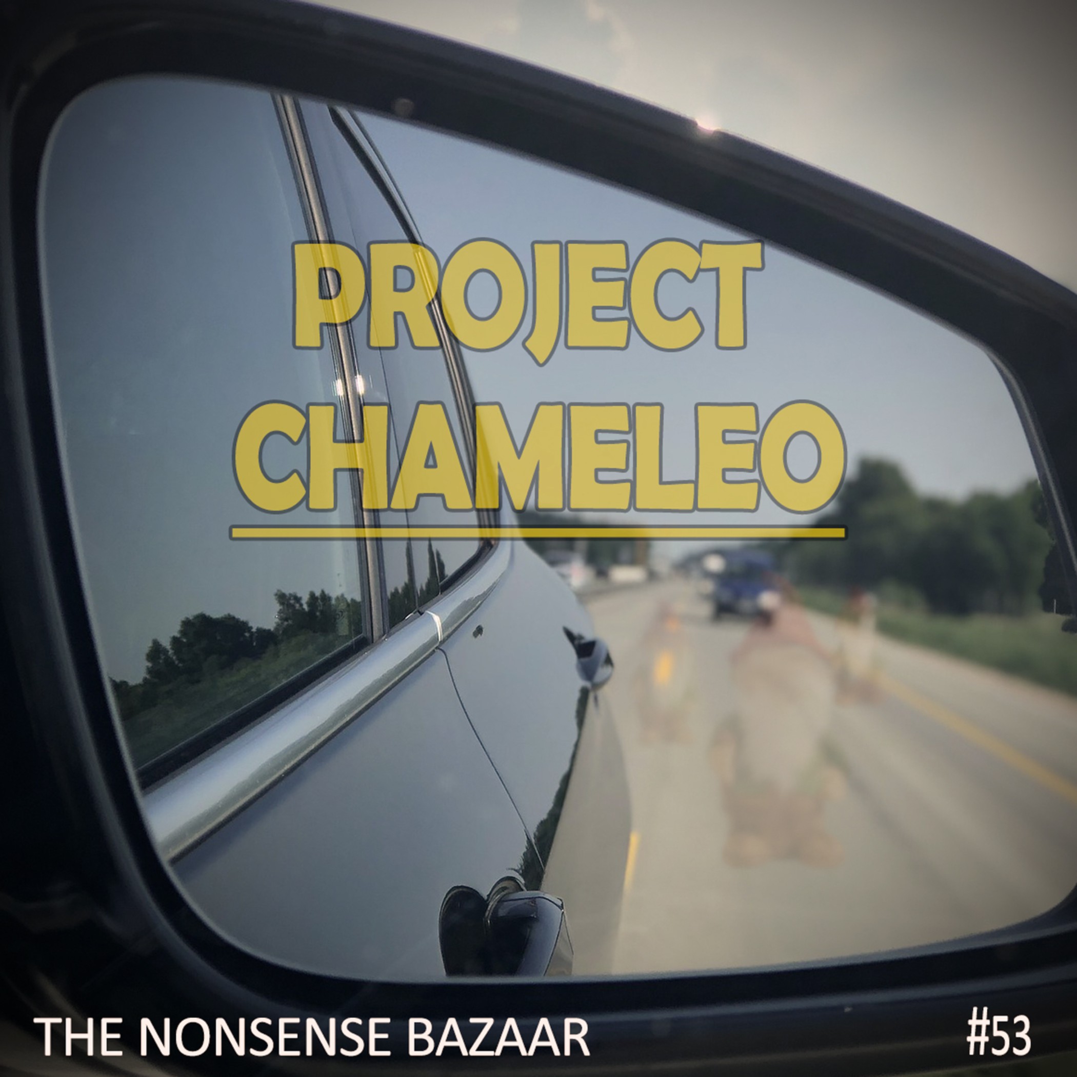 The Nonsense Bazaar