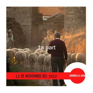 GIRONELLA AVUI, 12 de novembre del 2022, 1a part