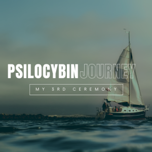 Psilocybin Journey My 3rd Ceremony |A Ship in the Storm|