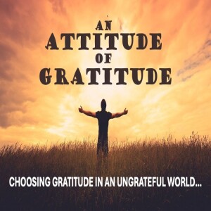 An attitude of gratitude - Gratitude - Brent Smith