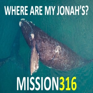 Mission 316 - Mission 316 - Brent Smith
