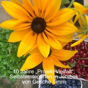 10 Jahre „Projekt Vielfalt“, Selbsterntegarten in Jersbek von Gesche Timm