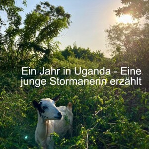 Ein Jahr in Uganda - Eine junge Stormanerin erzählt - Episode 9: Resümee auf das Jahr in Uganda