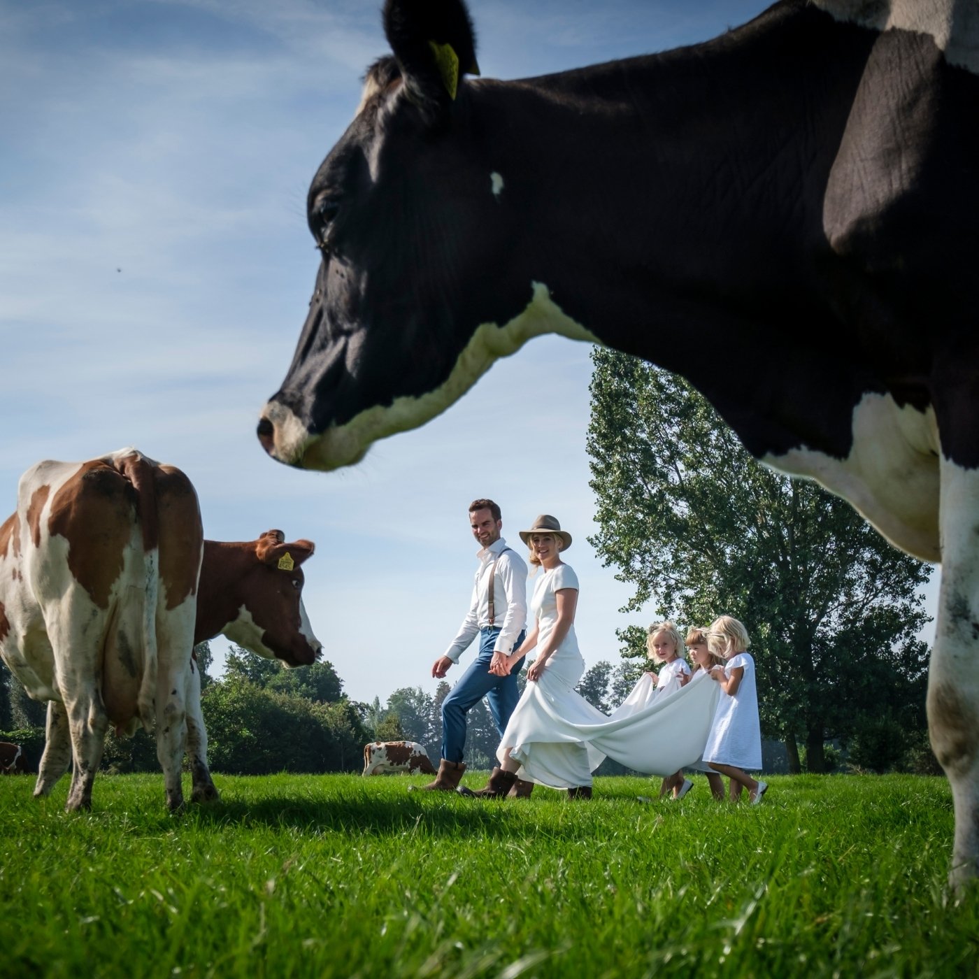 How to get married in Holland