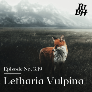 Episode 53 - S3E19 Letharia Vulpina