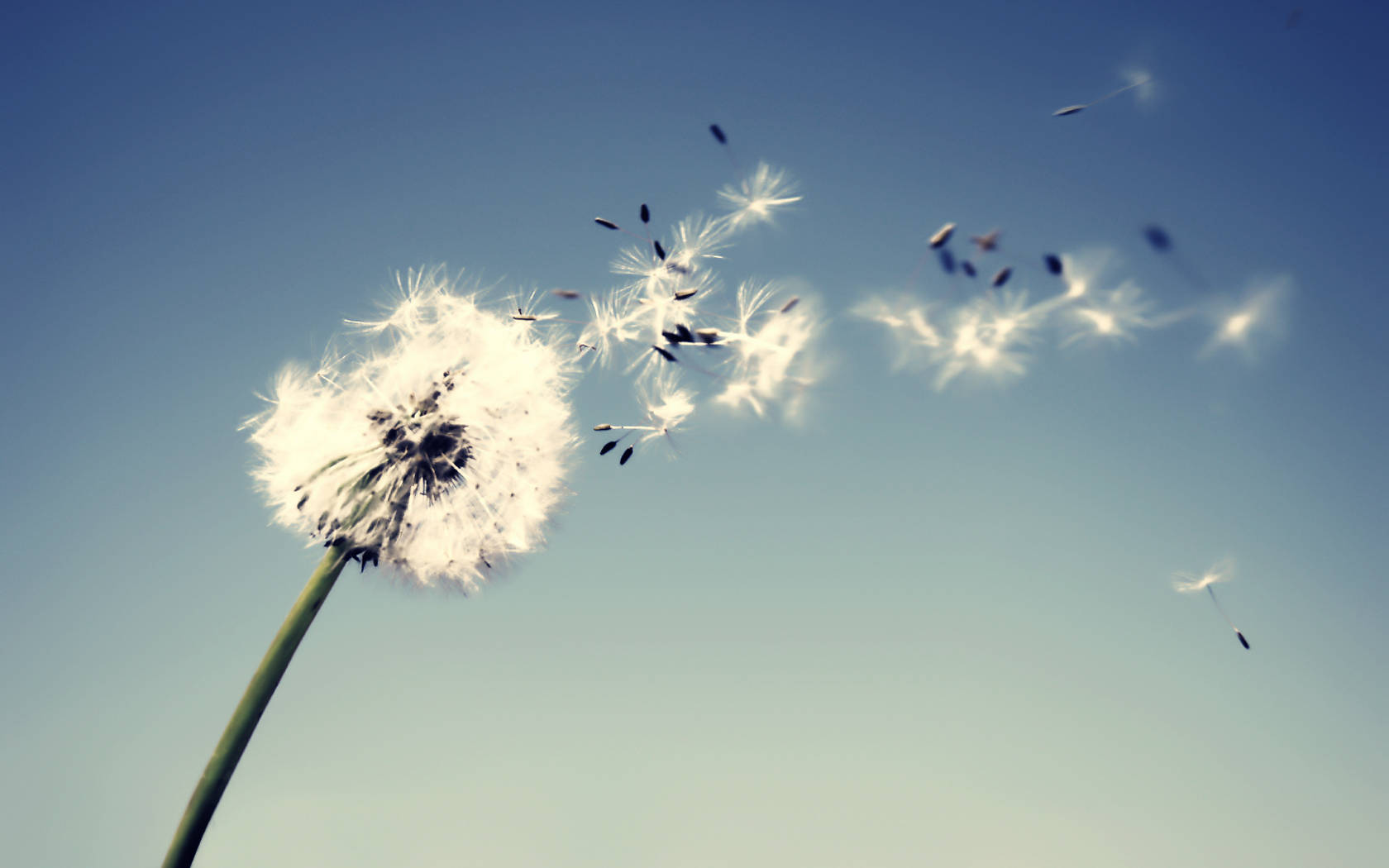 Where the wind blows