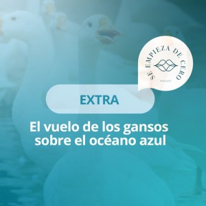 Extra: El vuelo de los gansos sobre el océano azul