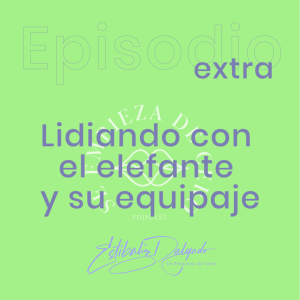 Extra: Lidiando con el elefante y su equipaje