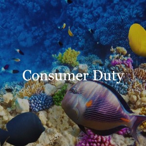 The second consultation paper // Consumer Duty
