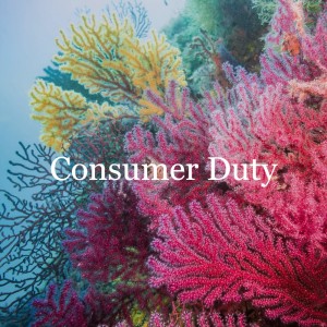 Implications for fintechs and challengers // Consumer Duty