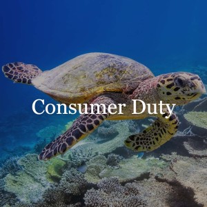 The second consultation paper - implications for asset managers // Consumer Duty