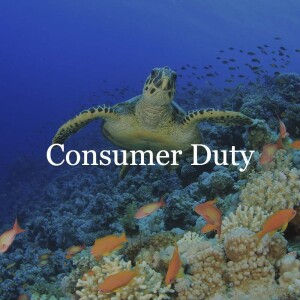 Key considerations when preparing your Consumer Duty Board report // Consumer Duty