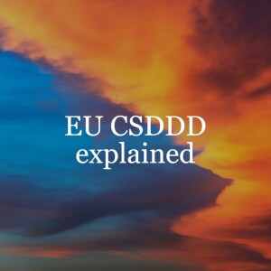 CSDDD explained: due diligence requirements  // EU CSDDD explained