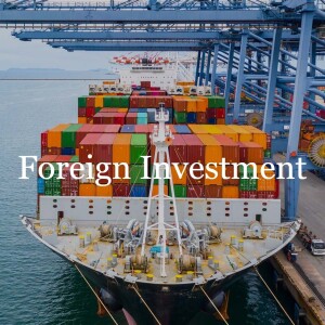 European Union Foreign Investment Operational Practice // Foreign Investment