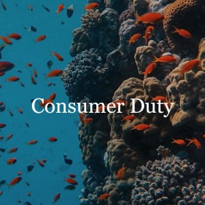 Consumer redress // Consumer Duty