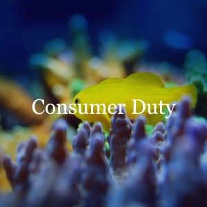 The first consultation // Consumer Duty